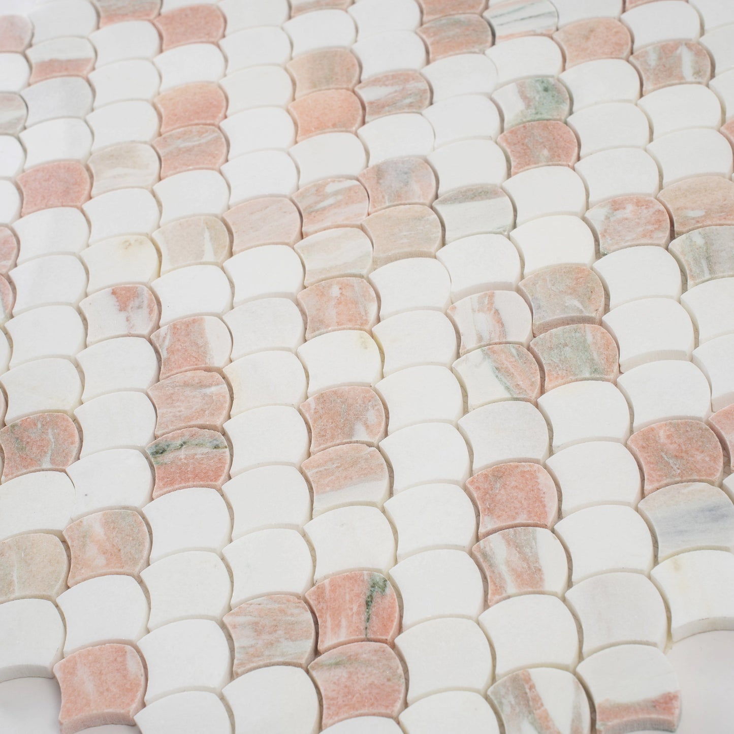 Pink, White 11x11 Polished Thassos, Norway Rose Fan Mosaic Tile