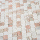 Pink, White 11x11 Polished Thassos, Norway Rose Fan Mosaic Tile - Sample
