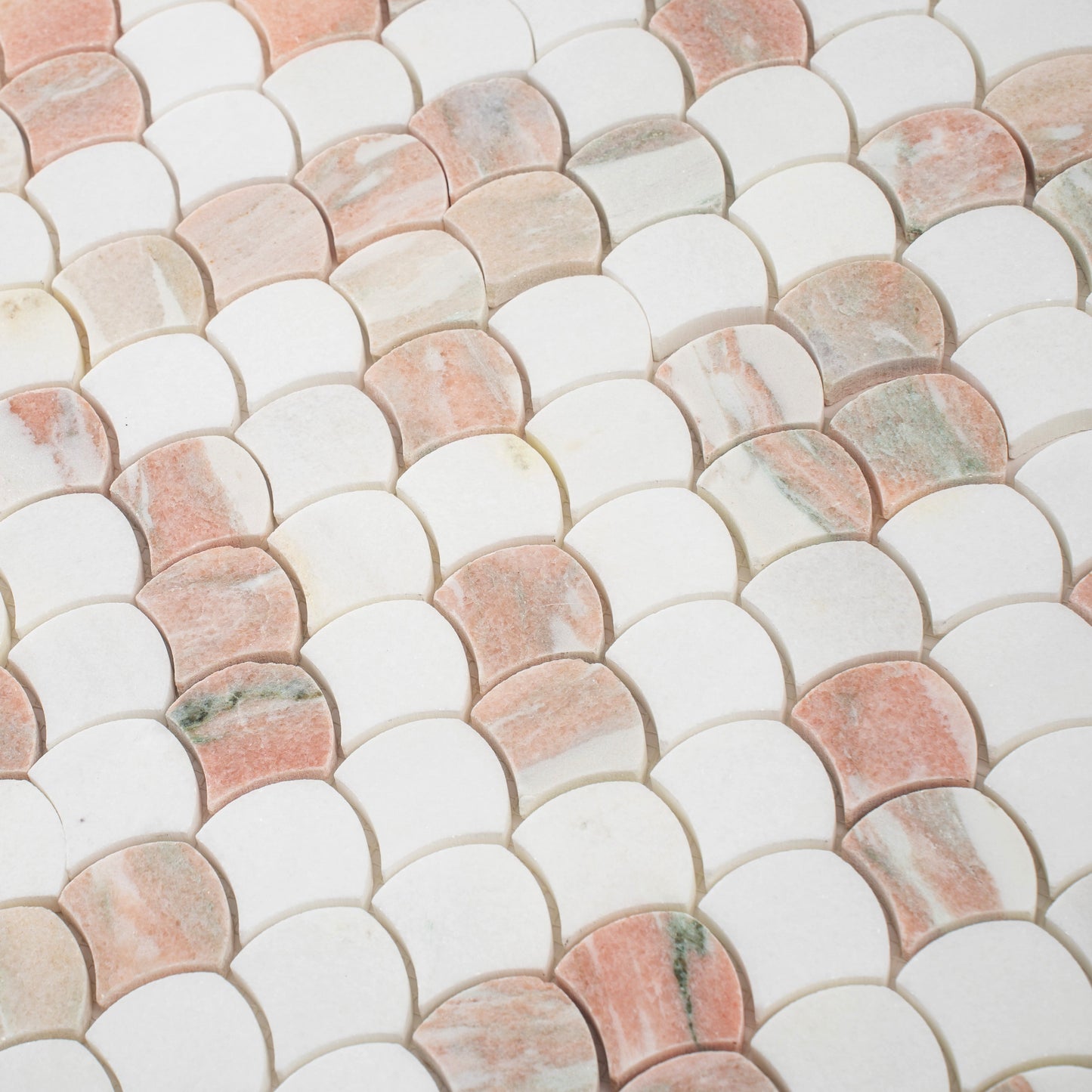 Pink, White 11x11 Polished Thassos, Norway Rose Fan Mosaic Tile - Sample