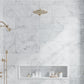 White 12 x 24 Bianco Carrara Marble Honed Large Tile