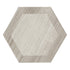 Mink Gray 10 x 10 Matte Porcelain Hexagon Tile