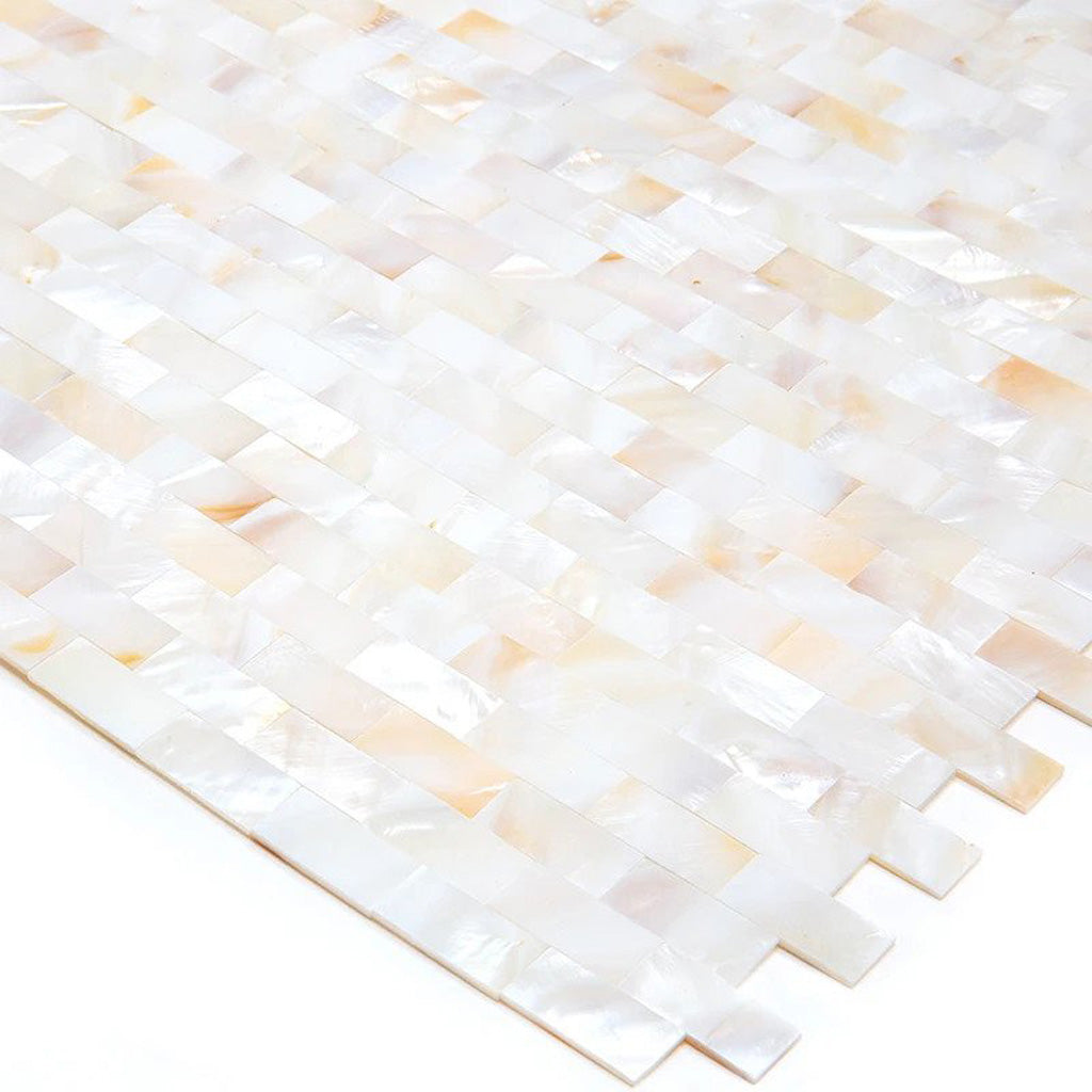 Shell White 11 x 12 Polished Shell, Mother of Pearl Mosaic Tile