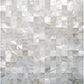 Shell White 12 x 12 Polished Shell, Mother of Pearl Mosaic Tile