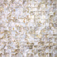 Brown 12 x 12 Polished Shell, Mother of Pearl Mosaic Tile