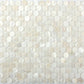 Shell White 12 x 12 Polished Shell, Mother of Pearl Mosaic Tile