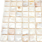 Shell White 12 x 12 Polished Shell, Mother of Pearl Mosaic Tile