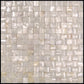 Shell White 12 x 12 Polished Shell, Mother of Pearl Mosaic Tile