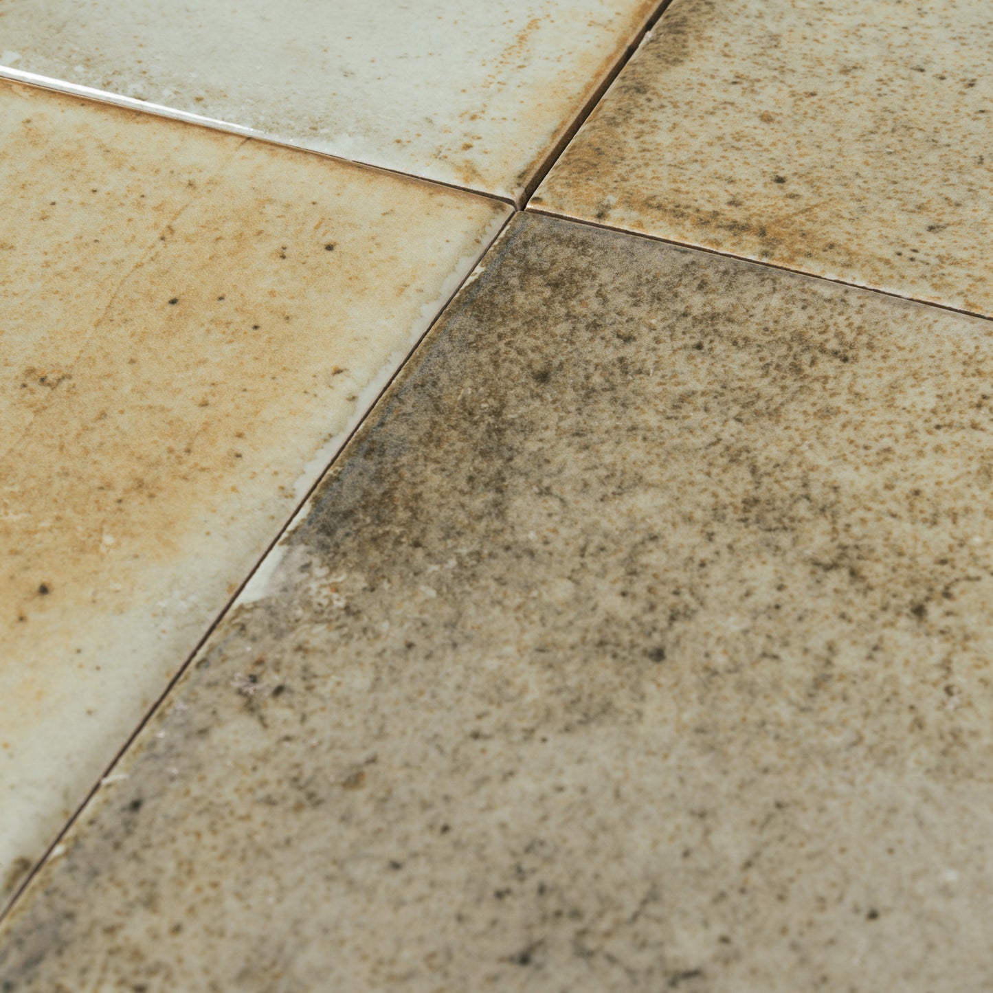 Celadon Green 6x6 Glossy Porcelain Zellige Square Tile