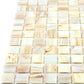 Beige 12 x 12 Glossy Glass Mosaic Tile