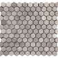 Gray 11 x 12 Polished Marble Mosaic Tile