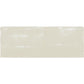 Light Tea Green 2.5 x 8 Glossy, Matte Ceramic Subway Tile