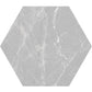 Light Gray 8 x 9 Matte Porcelain Hexagon Tile