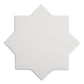 Pure White 7" and  Terracota 5" Matte Porcelain Star and Cross Tile - Sample
