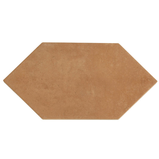 Terracotta 6 x 12 Matte Porcelain Octagon Tile - Sample
