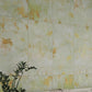 Moss Green 20 x 40 Natural Porcelain Large Tile