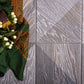 Brown 6 x 6 Matte Porcelain Square Tile