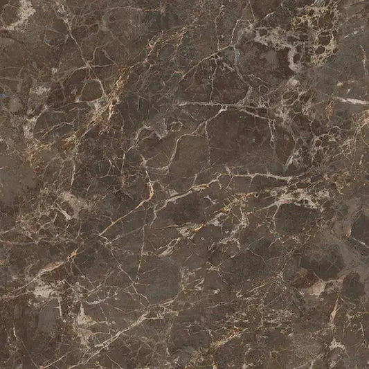 Bruno Brown 24x24 Matte Color Body Porcelain Large Tile
