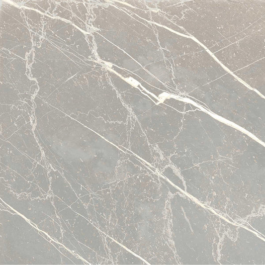Ash Gray 12x12 Matte Porcelain Marble-look Vein Tile - Sample
