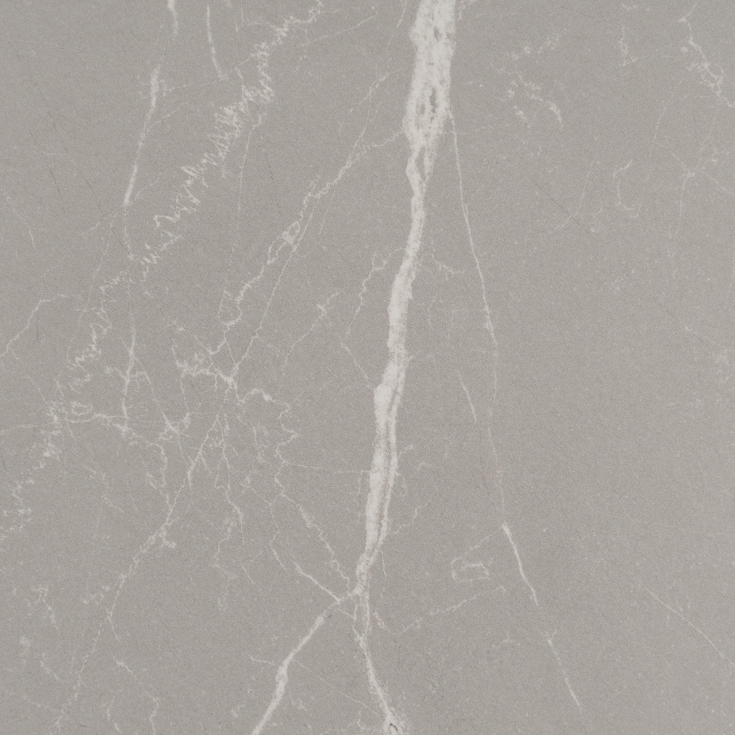Ash Gray 24x48 Matte Porcelain Large Tile