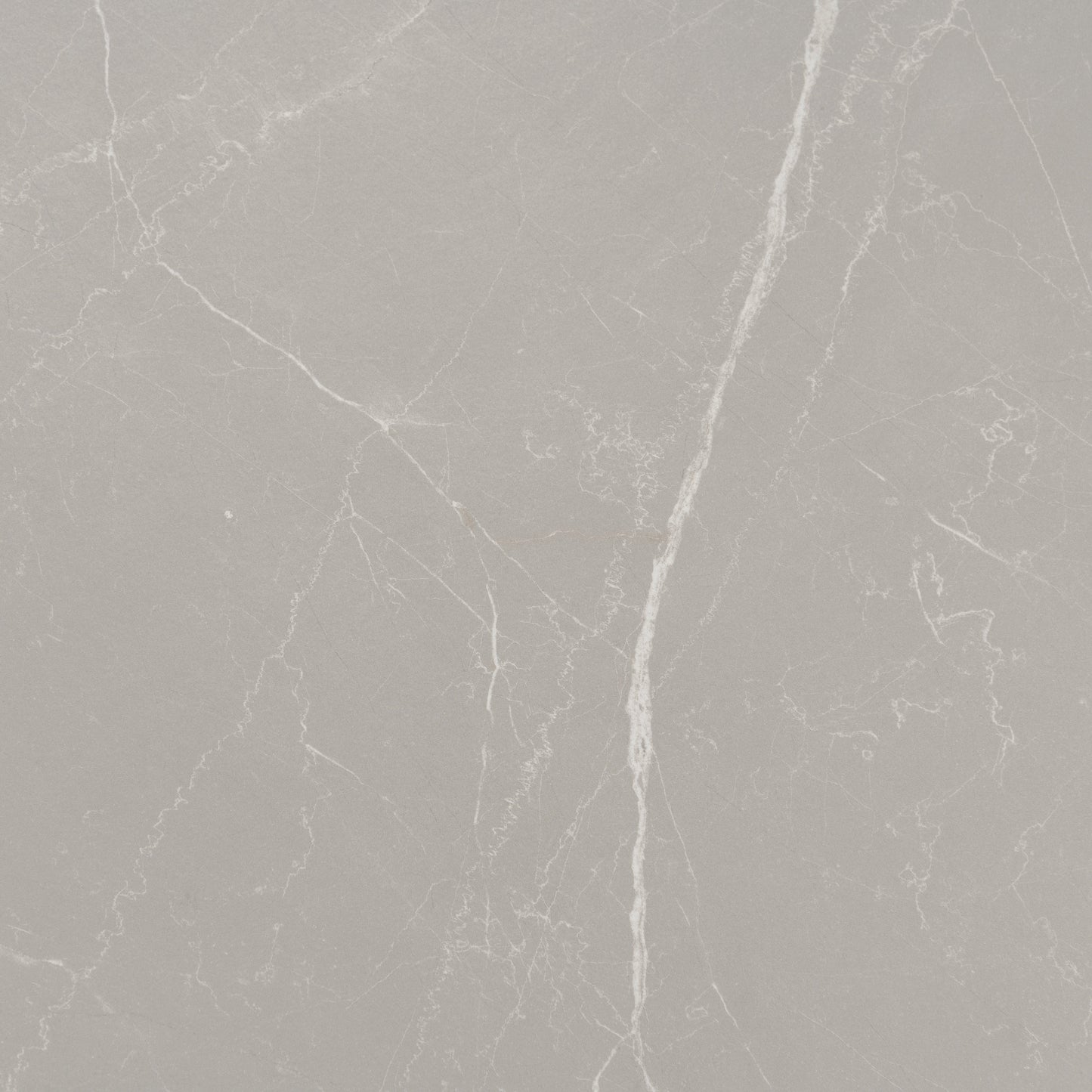 Ash Gray 24x48 Matte Porcelain Large Tile - Sample