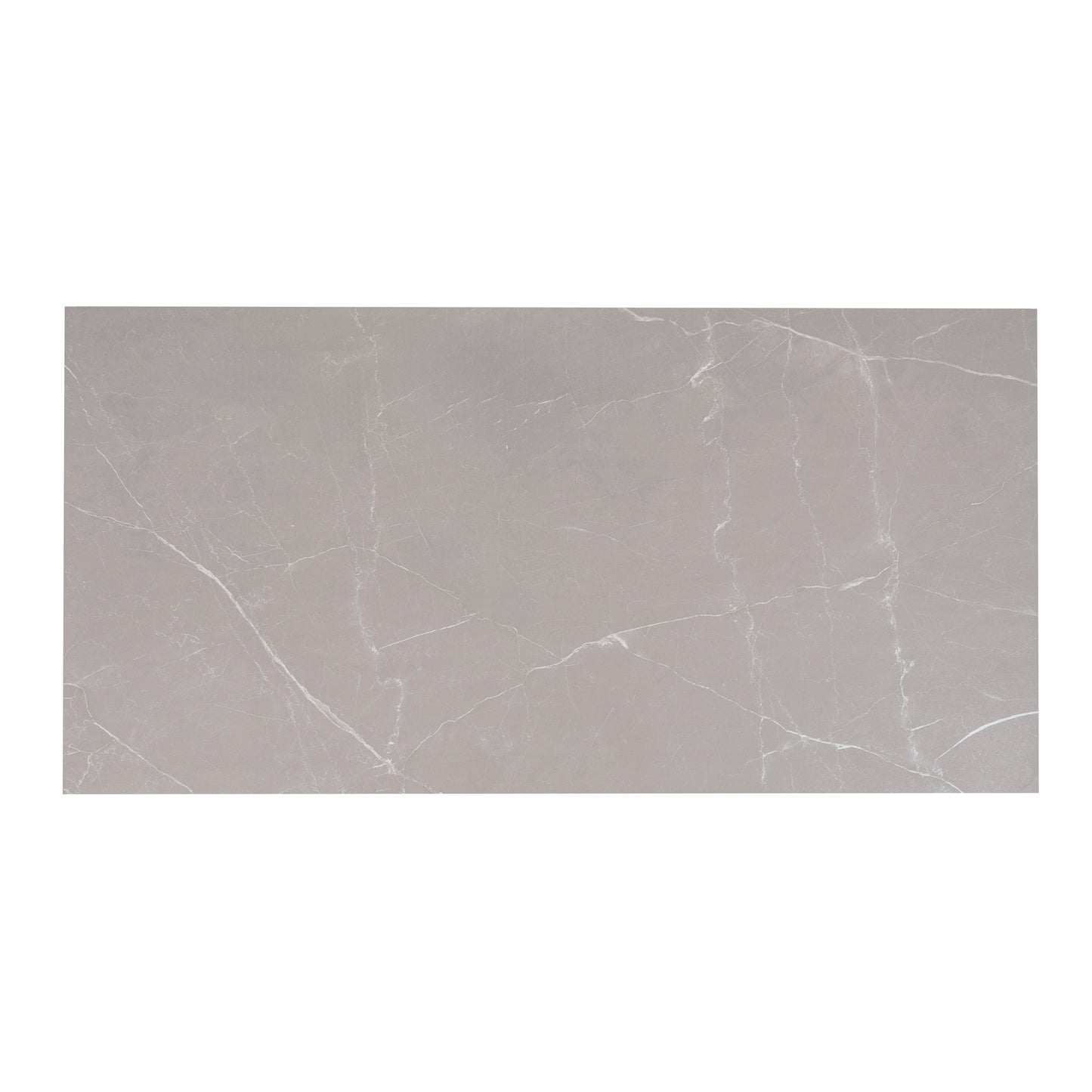 Ash Gray 24x48 Matte Porcelain Large Tile