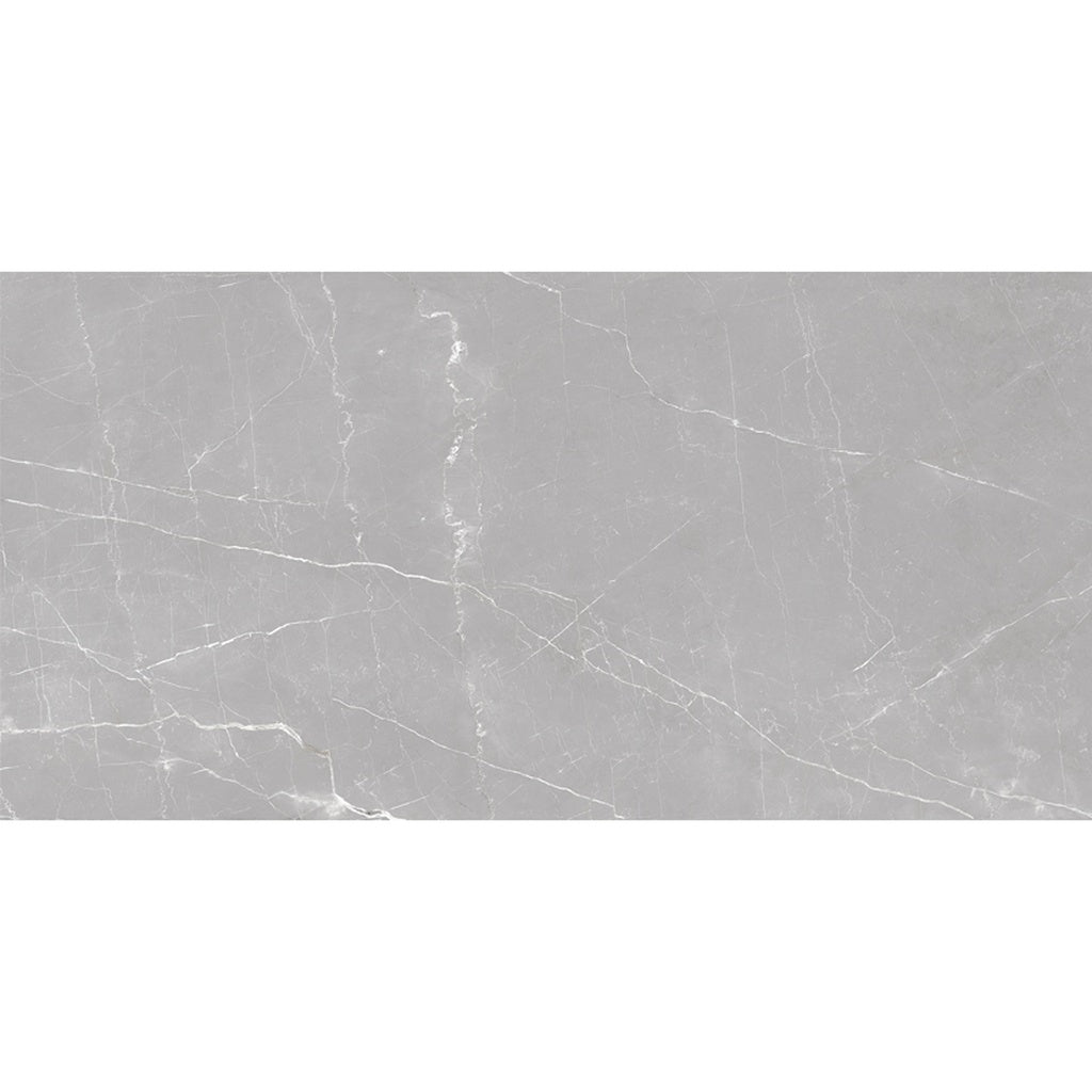 Ash Gray 24x48 Matte Porcelain Large Tile