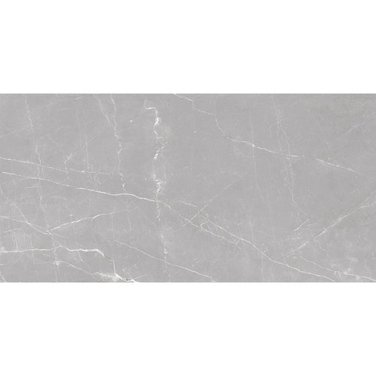 Ash Gray 24x48 Matte Porcelain Large Tile - Sample