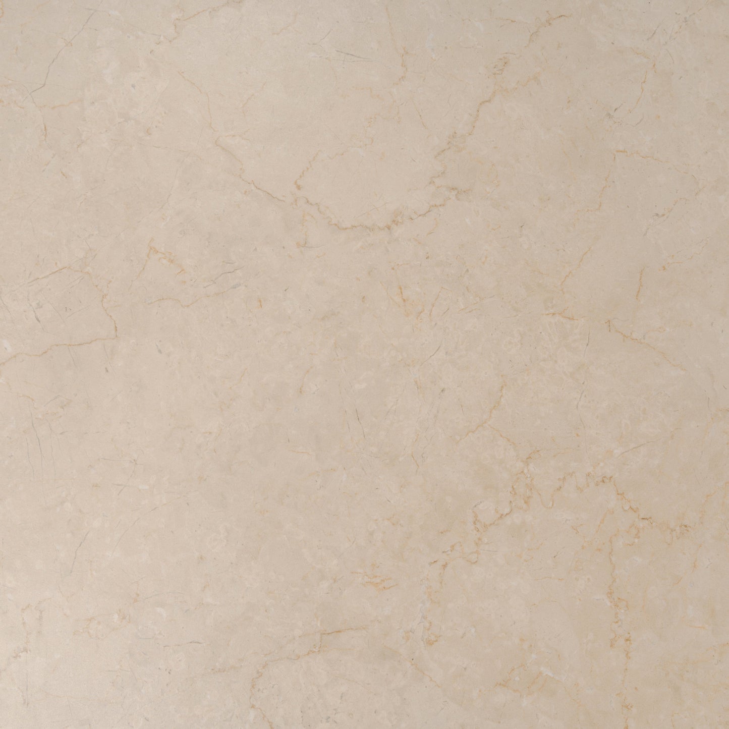 Crema Beige 24x48 Matte Porcelain Large Tile - Sample