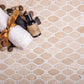 Buff Beige 12 x 12 Polished Crema Marfil, Eastern White Mosaic Tile