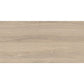 Natural Wood 24x48 Matte Porcelain Large Tile