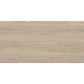 Natural Wood 24x48 Matte Porcelain Large Tile