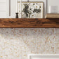 White, Beige 12 x 12 Polished Shell, Mother of Pearl Mosaic Tile - Sample
